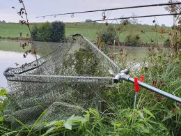 Weiheranlage Vorm Holz-1