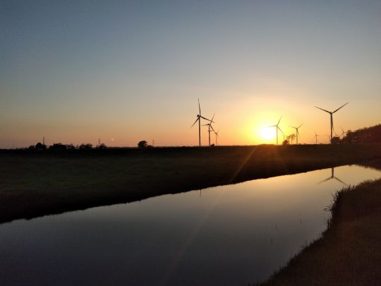 Angeln in Tinningstedt