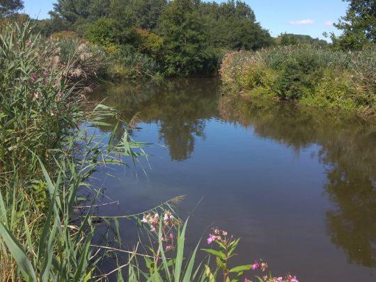 Roter Main (Heinersreuth)-1