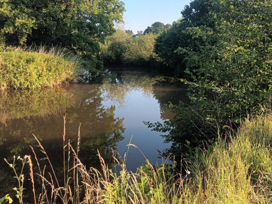 Roter Main (Heinersreuth)-3