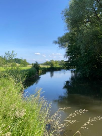 Roter Main (Heinersreuth)-4