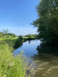 Roter Main (Heinersreuth)-4