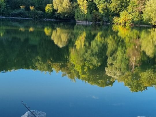 Kreuzbergweiher (Weingarten)-1
