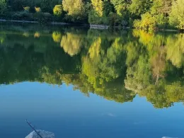 Kreuzbergweiher (Weingarten)-1