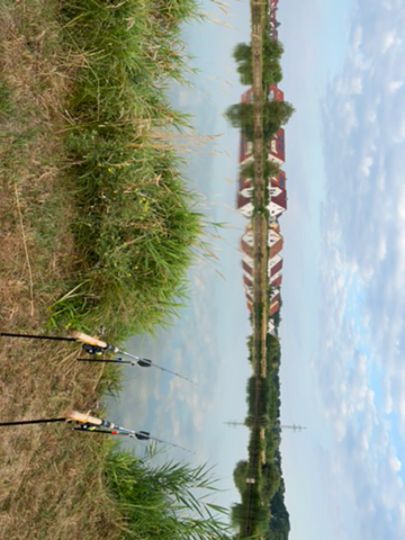 Ochsenweiher (Weisendorf)-1