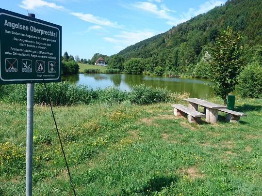 Angeln in Gutach (Schwarzwaldbahn)