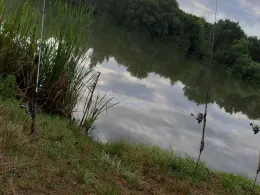 Wallersee (Weiskirchen)