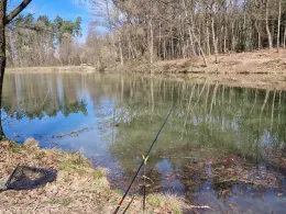 Roßteich (Ebersbach)-1