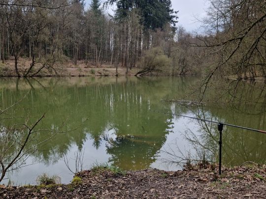 Roßteich (Ebersbach)-2