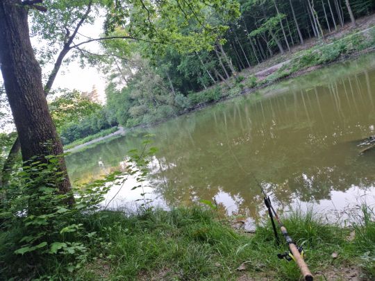 Roßteich (Ebersbach)-3