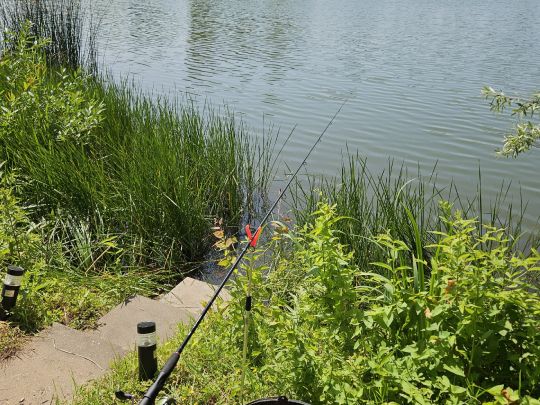 Kiessee Freizeitgelände Ahlemeyer-1