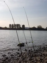 Rhein (Sinzig/Leubsdorf)-1