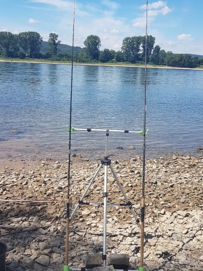 Rhein (Sinzig/Leubsdorf)-3