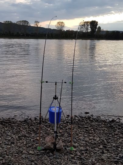 Rhein (Sinzig/Leubsdorf)-2