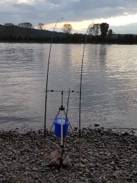 Rhein (Sinzig/Leubsdorf)-2