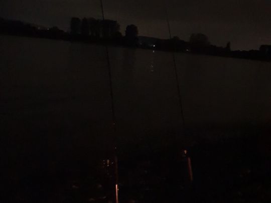 Rhein (Sinzig/Leubsdorf)-4