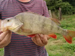 Lienekanal (Elsfleth)