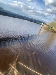 Lienekanal (Elsfleth)-1