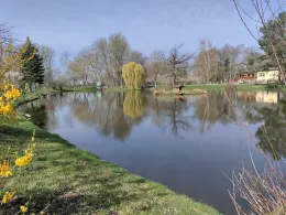 Spitzteich (Zweimen)