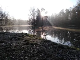 Hubertus-Schröter-Teich-3