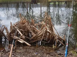 Angelteich Winzenburg-2