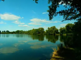 Bergmannteich (Laatzen)-1