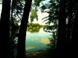 Bergmannteich (Laatzen)-2