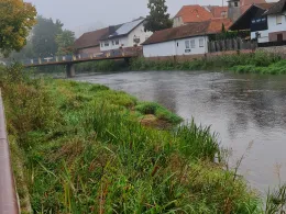 Sinn (Mittel-/Obersinn)