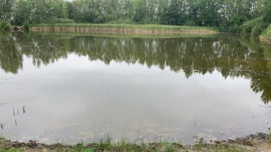 Kiesee Neuendorf-1