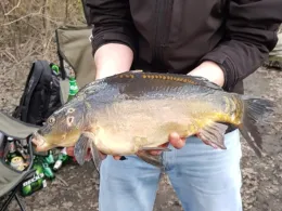 Lohbrügger Brack (Bentinbrack)-3