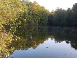 Lohbrügger Brack (Bentinbrack)