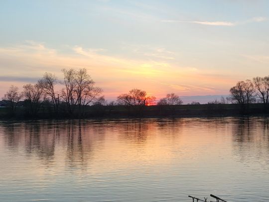 Donau (Osterhofen)-1