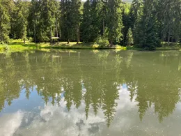 Reichenbachteich (Katzhütte)