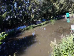 Forellen- und Karpfenweiher Wollbach