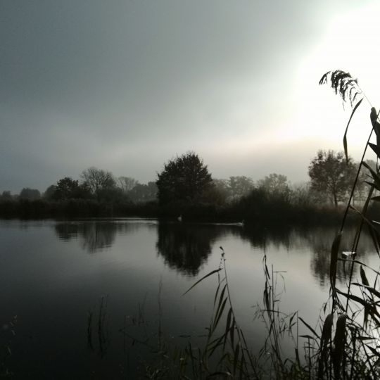 Aller (Schwarmstedt)-1