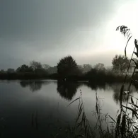 Aller (Schwarmstedt)-1