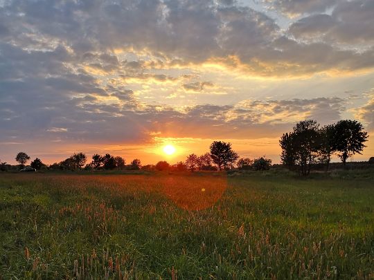 Aller (Schwarmstedt)-3