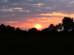 Aller (Schwarmstedt)