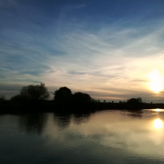 Aller (Schwarmstedt)-2