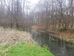 Goldbach (Mühlenhagen)