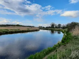 Tollense (Neddemin)-1