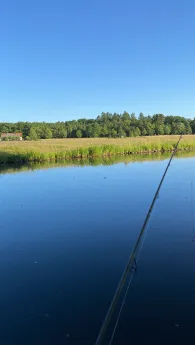 Speisekanal Neuhaus-1