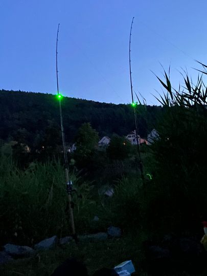 Main (Großheubach)-4