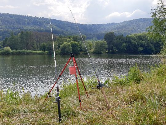 Main (Großheubach)-3