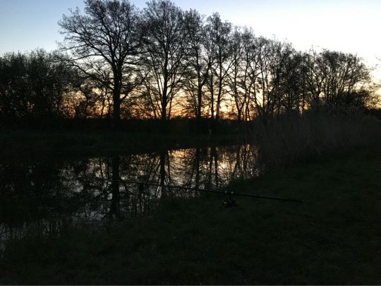 Ludwig-Donau-Main-Kanal (Burgthann)-3