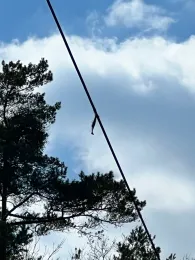 Ludwig-Donau-Main-Kanal (Burgthann)-2