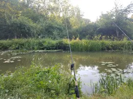 Ludwig-Donau-Main-Kanal (Burgthann)-1