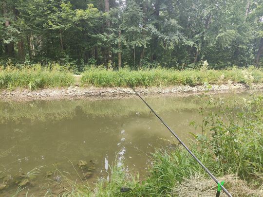 Ludwig-Donau-Main-Kanal (Burgthann)-4