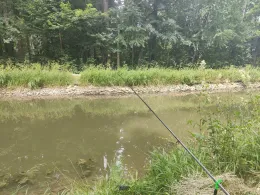 Ludwig-Donau-Main-Kanal (Burgthann)-4