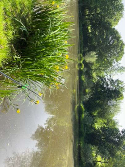 Hengelsportvereniging Vaals '68-3